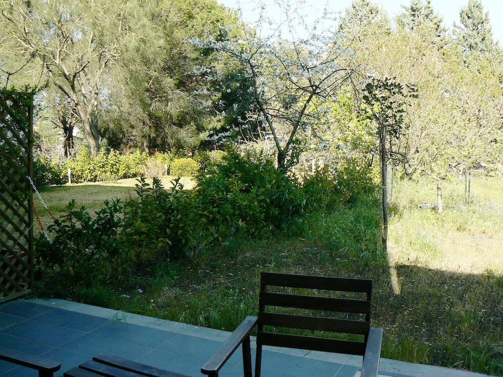 Etna Holiday Home Nicolosi Exterior foto