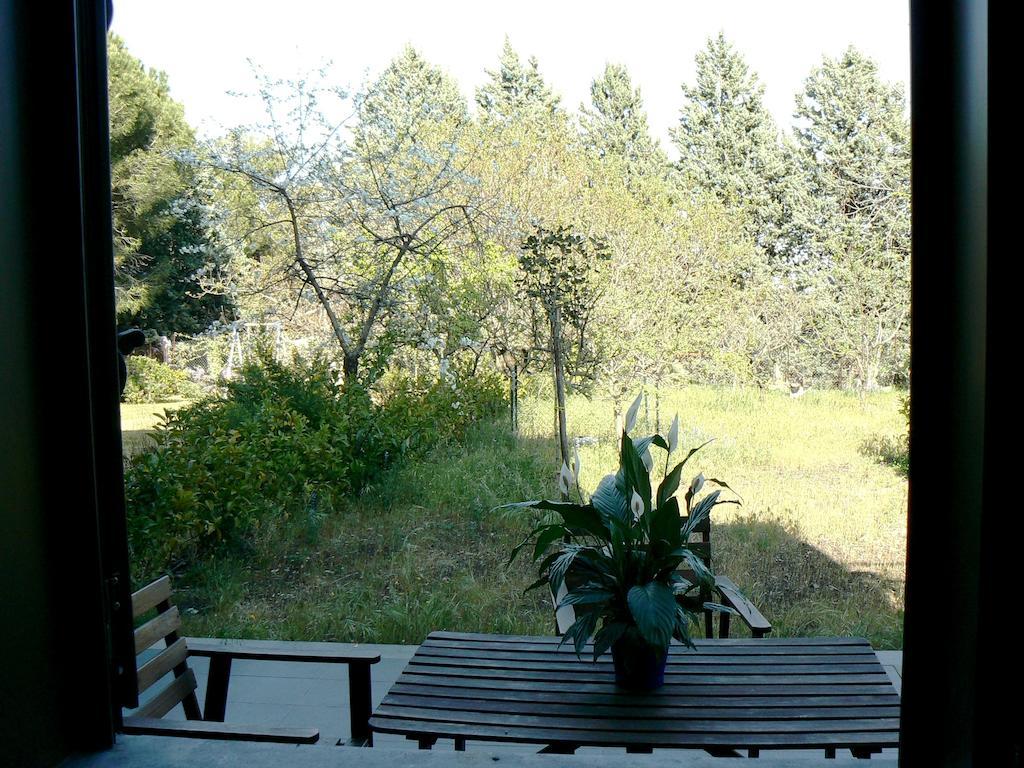 Etna Holiday Home Nicolosi Exterior foto